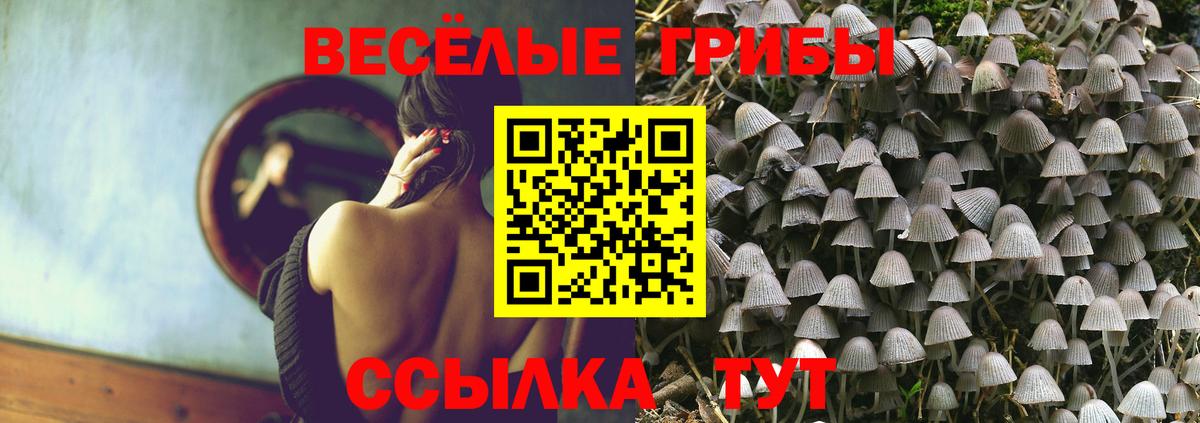 Галлюциногенные грибы Magic Shrooms Изобильный
